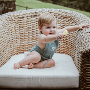 What are the key toddler milestones?