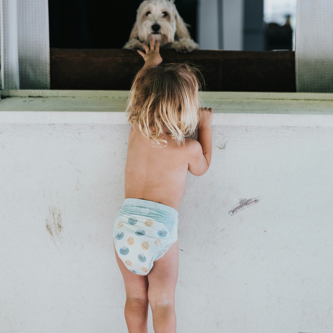 What does your baby's poop colour mean?