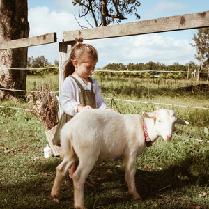 A young girl petting a baby goat in a farm