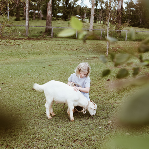 A child petting a baby goat in a field